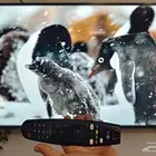 شاشة LG ريموت ماجيك ماوس 4K 55 صوت قوي جدا