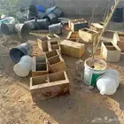 محاكر حمام وسطول بويه ومراكن