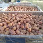 تمور فاخره للبيع اخلاص