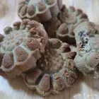 معمول طازج