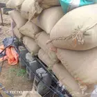 8 اكياس حب شهلا بلدي انتاج المزرعه