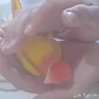 روز