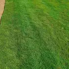 ثيل طبيعي