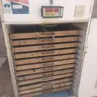 فقاسة ماسه المحمدية 3000 بيضه