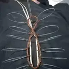 شبك لطرح الصقور