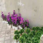 اشجار صناعية مع أحواض بلاستيك