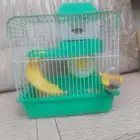 هامستر للبيع اليف العمر اربع اشهور ملاحظة لا يوجد توصيل