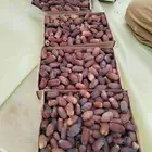 تمرمجدول هذا العام