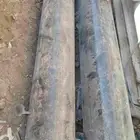 كيسي 10 بوصه حبه ونص سعودي ضغط 250