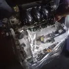 أريون افلون 17