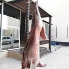 معلم مشويات شوي خارجي شامية شامية