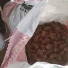 تمر حجف اعلاف للحلال