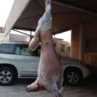 معلم مشويات