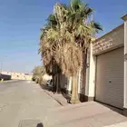 عمال النخل والواشنطني والعربي