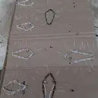 شبك لطرح الصقور