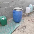 بيشه