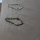 شبك لطرح الصقور