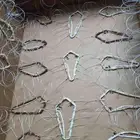 شبك بطرح الصقور