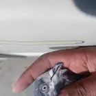 حمام باكستاني