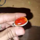 خاتم جاوي اللي حابب يتواصل في الخا