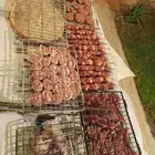 شوي خارجي مشاوي مشويات