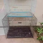 قفص قطط وتقدر تستعمله للطيور