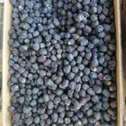 عجوه صغيره 1200 كرتون بسعر 5 ريال حبه مبرومه وسودا