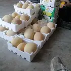 توريد خظار وفواكه طازجة بعقود شهرية.