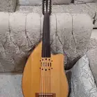 عود كهربائي عزف صوت رخيم وقمه العذوبه