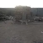 هاسكي للبيع