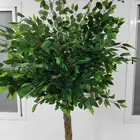 شجر زيتون صناعي واشحار متنوعة بأسعار تبدأ من 50 ريال