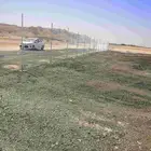 تركيب شبوك ونخيل