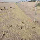 شبوك مزارع