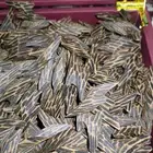 عود تايقر جودة وسعر