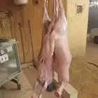 شوي خارجي مشويات معلم مشاوي