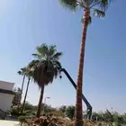 ونش أجار يومي وشهري
