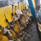 دودة دركسيون