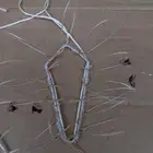 شبك لطرح الصقور
