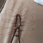 شبك لصيد الصقور