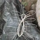 شبك لطرح الصقور