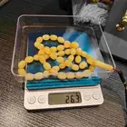 كهرمان بولندي حر مشروط