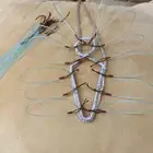 شبك لطرح الصقور