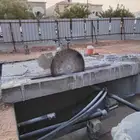 منشار قص الخرسانه