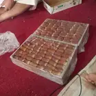 تمر للبيع الصقعي السكري