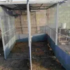 شبك للبيع على السوم العرض 2 ارتفاع 2 الطول 2