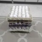 بيض للاكل