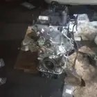 أبو عريش