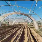 بيوت محمي فرنس للبيع