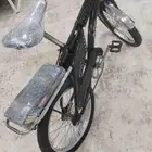 رامبو اندنوسي خابور اصلي للبيع موقعي بحره المجاهدين السوم وا