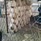 ثلاث صنادق طيور نظيييفه
